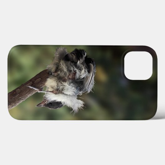 Tidi mijn vogel de Parus Major Case-Mate iPhone Case (Achterkant (horizontaal))