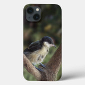 Tidi mijn vogel de Parus Major Case-Mate iPhone Case (Achterkant)