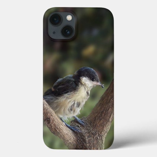 Tidi mijn vogel de Parus Major Case-Mate iPhone Case (Achterkant)