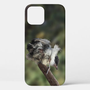 Tidi mijn vogel de Parus Major Case-Mate iPhone Case