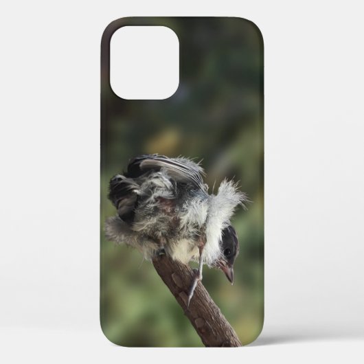 Tidi mijn vogel de Parus Major Case-Mate iPhone Case (Achterkant)