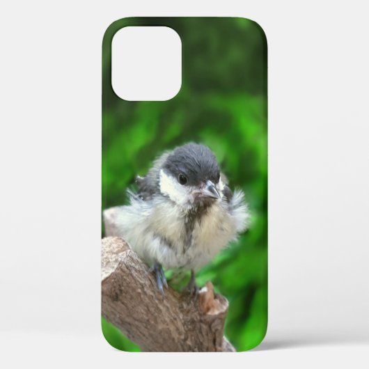 Tidi mijn vogel de Parus Major Case-Mate iPhone Case (Achterkant)