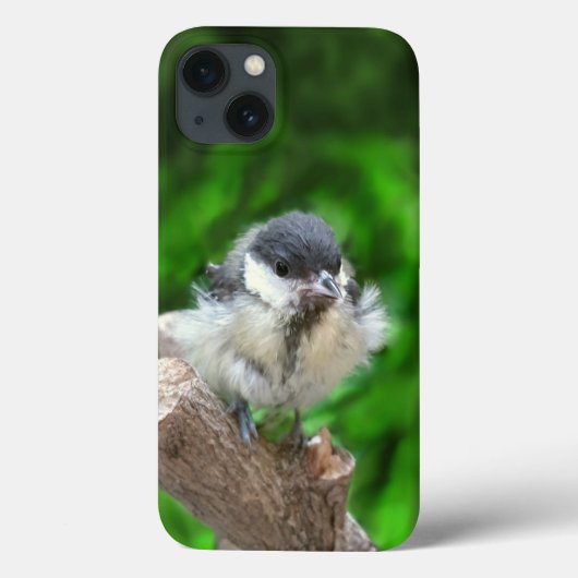 Tidi mijn vogel de Parus Major Case-Mate iPhone Case (Achterkant)