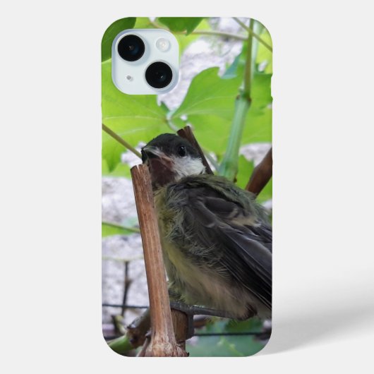 Tidi mijn vogel de Parus Major Case-Mate iPhone Case (Achterkant)