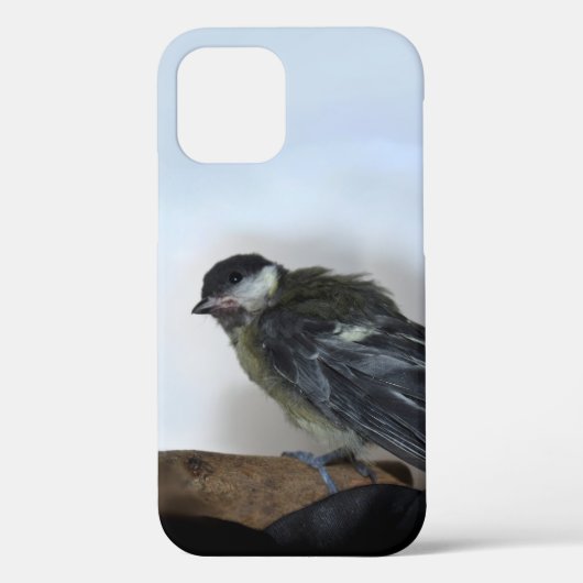 Tidi mijn vogel de Parus Major Case-Mate iPhone Case (Achterkant)