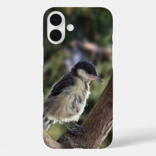 Tidi mijn vogel de Parus Major iPhone 16 Plus Hoesje