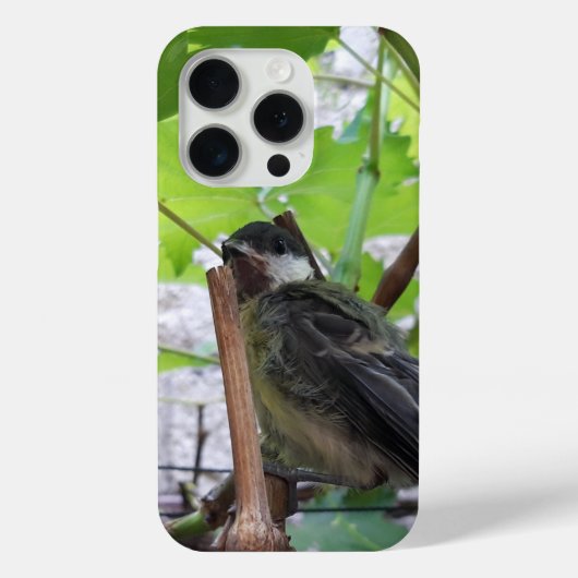 Tidi mijn vogel de Parus Major Case-Mate iPhone Case (Achterkant)