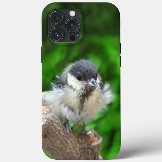 Tidi mijn vogel de Parus Major Case-Mate iPhone Case (Achterkant)