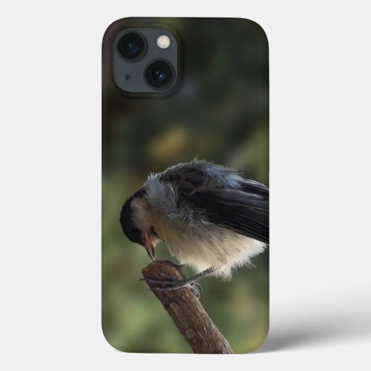 Tidi mijn vogel de Parus Major Case-Mate iPhone Case (Achterkant)