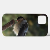 Tidi mijn vogel de Parus Major Case-Mate iPhone Case (Achterkant (horizontaal))