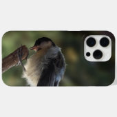 Tidi mijn vogel de Parus Major Case-Mate iPhone Case (Achterkant (horizontaal))