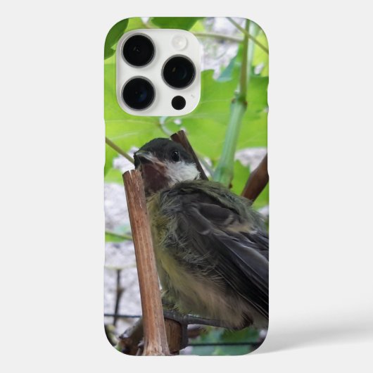 Tidi mijn vogel de Parus Major Case-Mate iPhone Case (Achterkant)