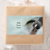 Tidi mijn vogel de Parus Major Etiket (Insitu)