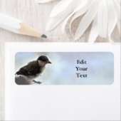 Tidi mijn vogel de Parus Major Etiket (Insitu)