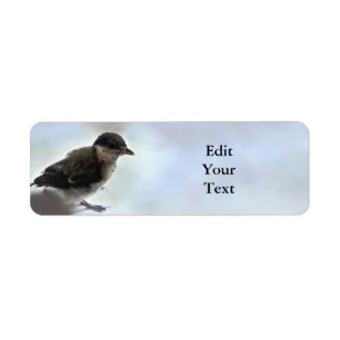 Tidi mijn vogel de Parus Major Etiket