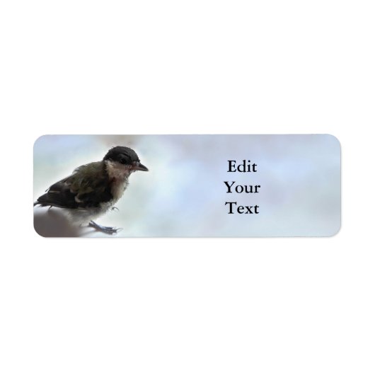 Tidi mijn vogel de Parus Major Etiket (Voorkant)