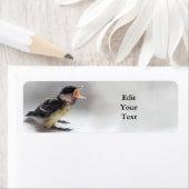 Tidi mijn vogel de Parus Major Etiket (Insitu)
