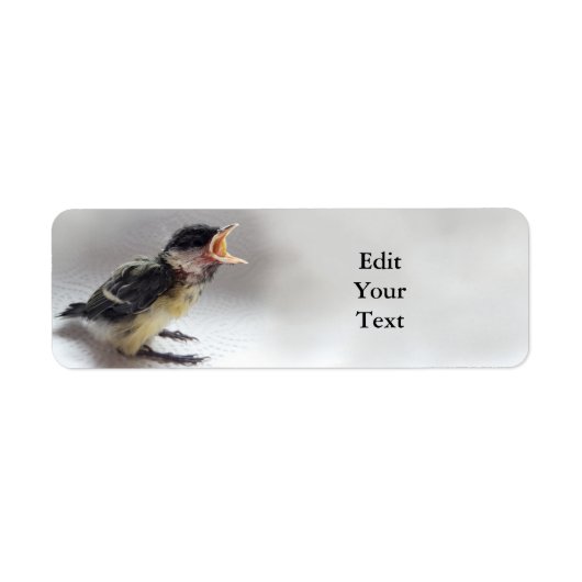 Tidi mijn vogel de Parus Major Etiket (Voorkant)