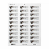 Tidi mijn vogel de Parus Major Etiket (Full Sheet)