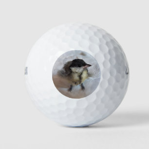 Tidi mijn vogel de Parus Major Golfballen