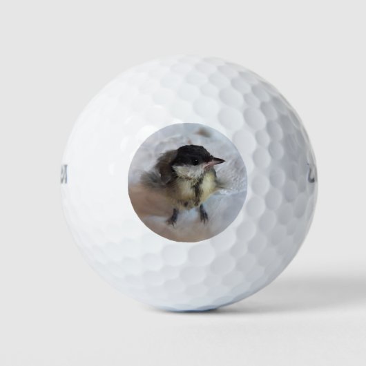 Tidi mijn vogel de Parus Major Golfballen (Voorkant)