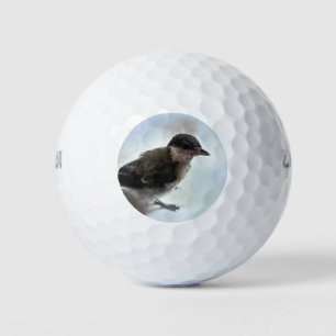 Tidi mijn vogel de Parus Major Golfballen