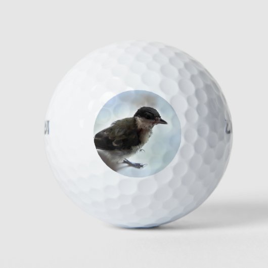 Tidi mijn vogel de Parus Major Golfballen (Voorkant)