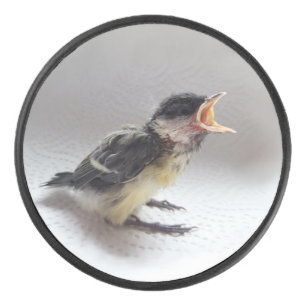 Tidi mijn vogel de Parus Major Hockey Puck