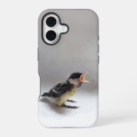 Tidi mijn vogel de Parus Major