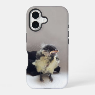 Tidi mijn vogel de Parus Major iPhone 16 Hoesje