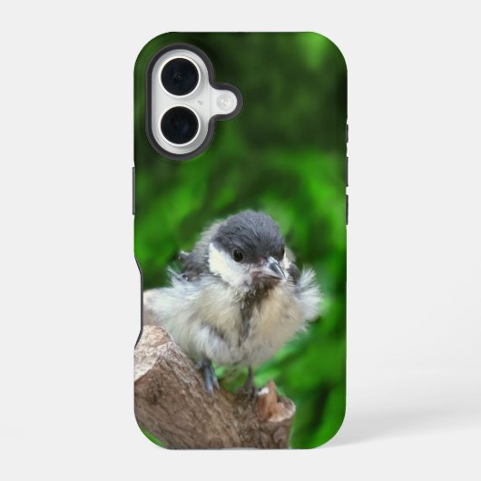 Tidi mijn vogel de Parus Major iPhone 16 Hoesje (Achterkant)
