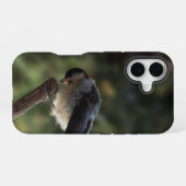 Tidi mijn vogel de Parus Major iPhone 16 Hoesje (Achterkant horizontaal)