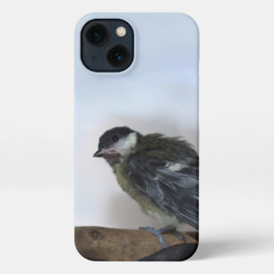 Tidi mijn vogel de Parus Major iPhone 13 Hoesje