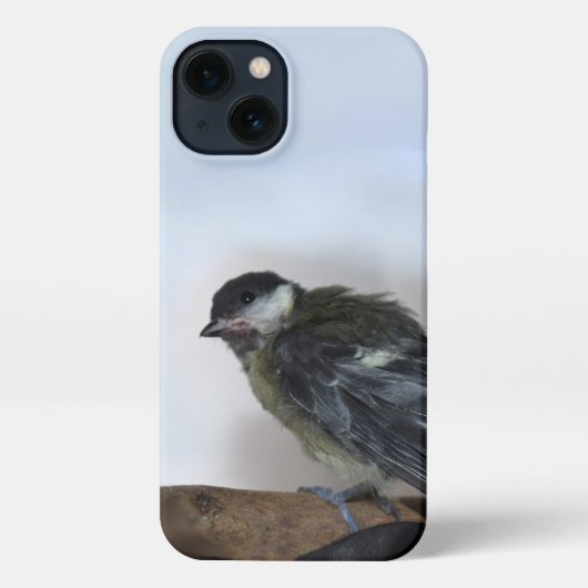 Tidi mijn vogel de Parus Major iPhone Hoesje (Achterkant)