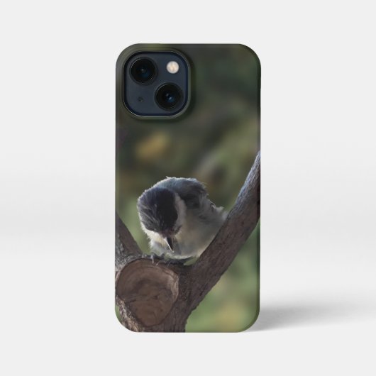 Tidi mijn vogel de Parus Major iPhone Hoesje (Achterkant)