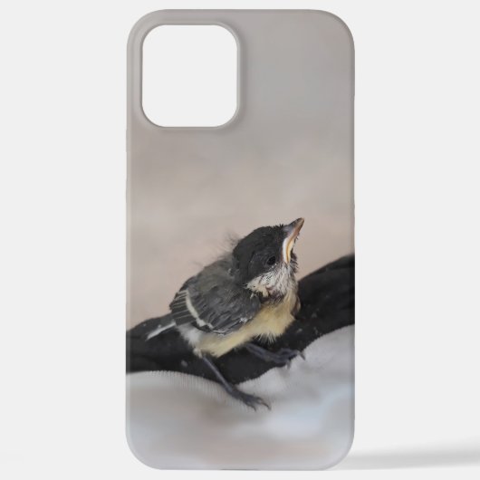 Tidi mijn vogel de Parus Major iPhone Hoesje (Achterkant)
