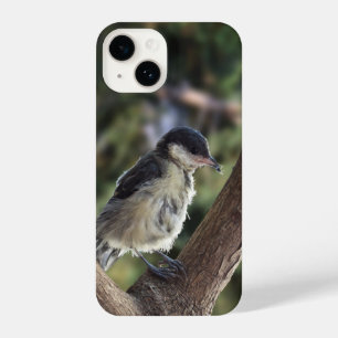 Tidi mijn vogel de Parus Major iPhone 14 Hoesje
