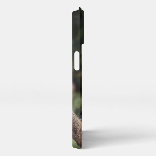 Tidi mijn vogel de Parus Major iPhone Hoesje (Rechterkant)