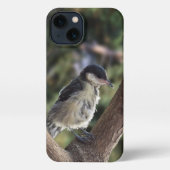 Tidi mijn vogel de Parus Major iPhone Hoesje (Achterkant)