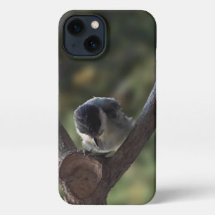 Tidi mijn vogel de Parus Major iPhone 13 Hoesje