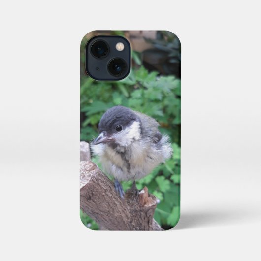 Tidi mijn vogel de Parus Major iPhone Hoesje (Achterkant)