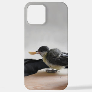Tidi mijn vogel de Parus Major iPhone 12 Pro Max Hoesje
