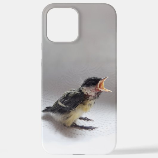 Tidi mijn vogel de Parus Major iPhone Hoesje (Achterkant)