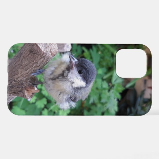 Tidi mijn vogel de Parus Major iPhone Hoesje (Achterkant horizontaal)