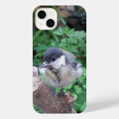 Tidi mijn vogel de Parus Major iPhone Hoesje (Achterkant)