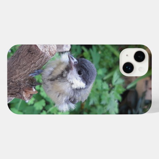 Tidi mijn vogel de Parus Major iPhone Hoesje (Achterkant horizontaal)