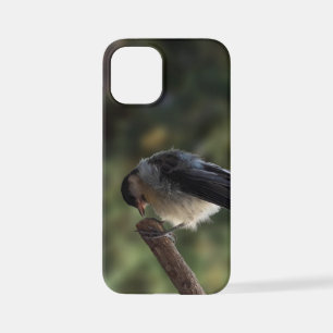 Tidi mijn vogel de Parus Major iPhone 12 Mini Hoesje