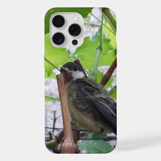 Tidi mijn vogel de Parus Major iPhone Hoesje (Achterkant)