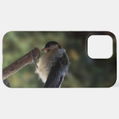 Tidi mijn vogel de Parus Major iPhone Hoesje (Achterkant horizontaal)