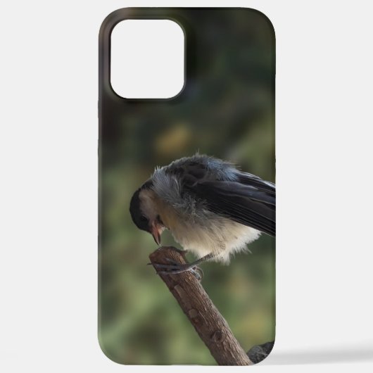 Tidi mijn vogel de Parus Major iPhone Hoesje (Achterkant)